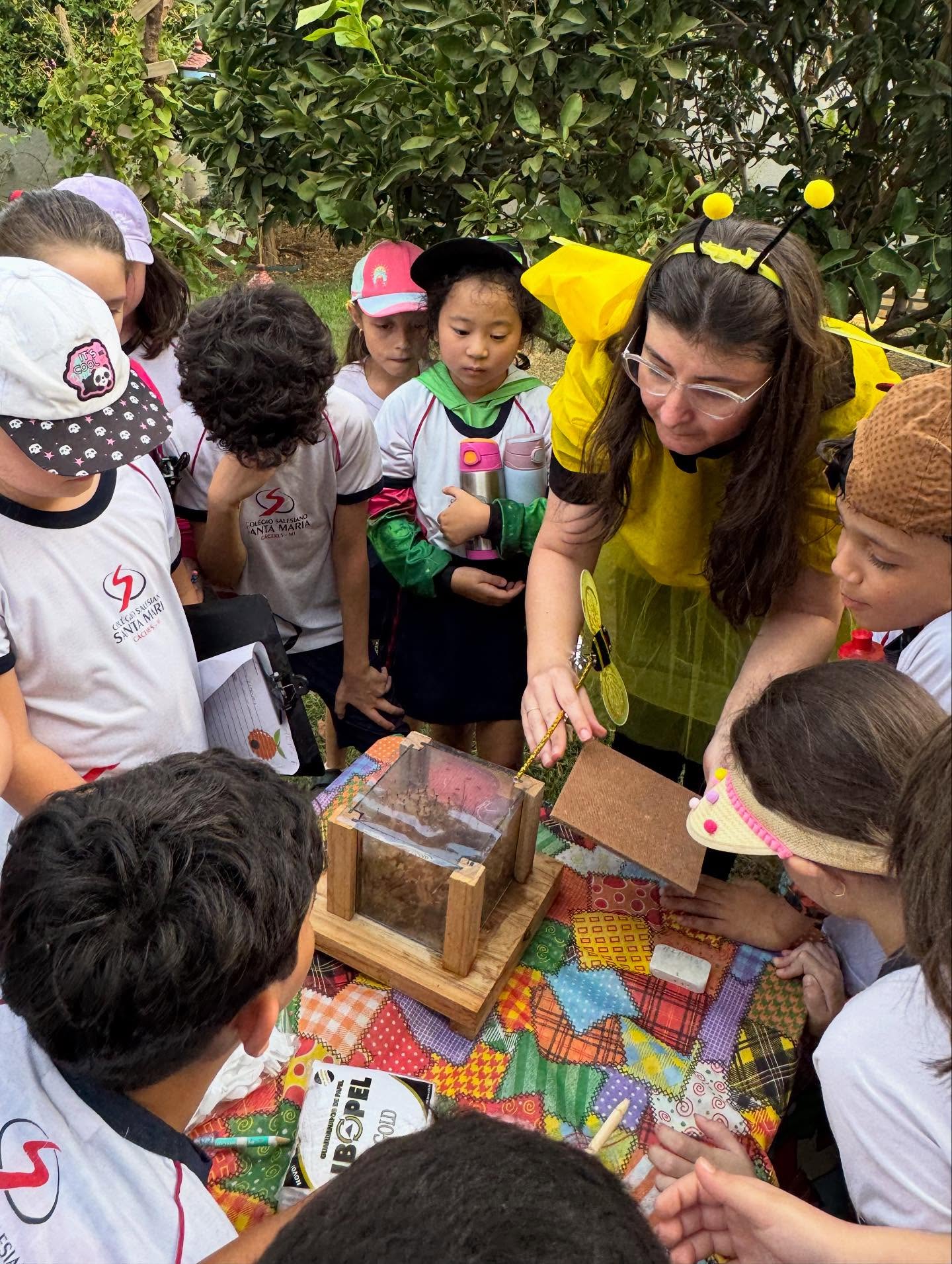 2º Ano - Mundo das Abelhas